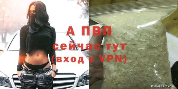 амфетамин Богданович