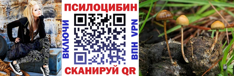 Псилоцибиновые грибы MAGIC MUSHROOMS  Буинск 
